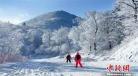 黑龙江冰雪旅游收入