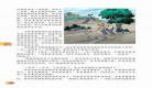 五年级语文下部编版教案
