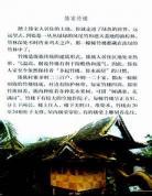各具特色的本子画师盘点