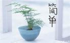 哲学上人与人的本质区别