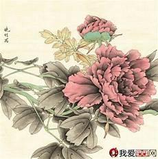 紫红牡丹鹦鹉