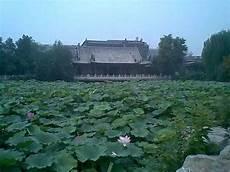 徘徊四顾的顾是什么意思