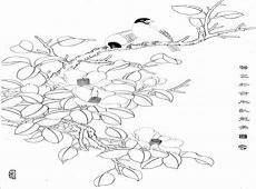 线描花鸟画图片大全