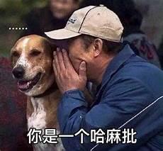 欢乐颂五美去樊胜美家
