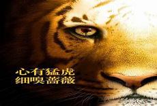 口是心非小说猛虎
