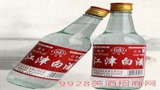 陆夜白江酒酒